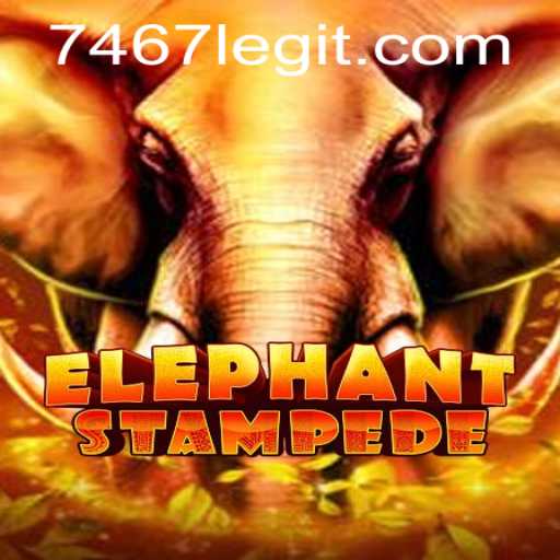 ElephantStampede: A New Gaming Adventure Amidst the Current Climate
